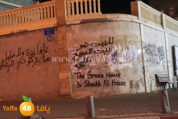 green house 0328 (5).JPG